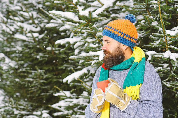 留着胡子和胡子的男子气概在冬天会冻僵。<strong>冬季</strong>步行概念。这名男子戴着针织帽子、围巾和<strong>保暖</strong>手套。盖伊拿着杯子或马克杯，背景是覆盖着雪的枞树。