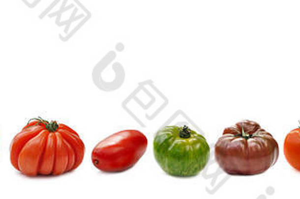 集合西红柿对齐孤立的白色背景