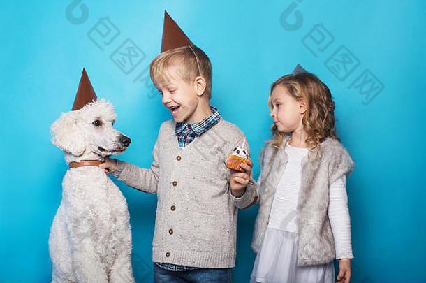 美丽的小女孩和英俊的男孩带着狗庆祝生日。友谊家庭蓝色背景上的工作室肖像