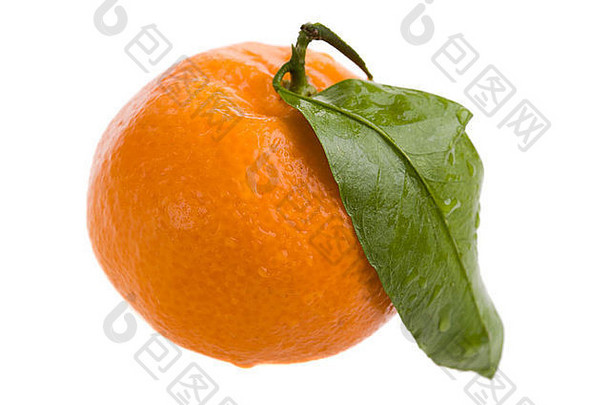 白色背景上带有水滴的橘子