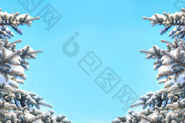 冬天圣诞节背景蓝色的云杉树分支机构蓝色的天空背景空间文本分支机构冷杉树雪覆盖冬天