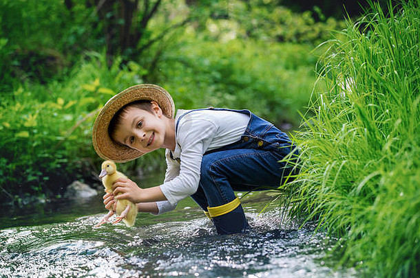 学龄前的孩子，男孩，和小鸭在小河上玩耍，让小鸭第一次游泳。童年观念