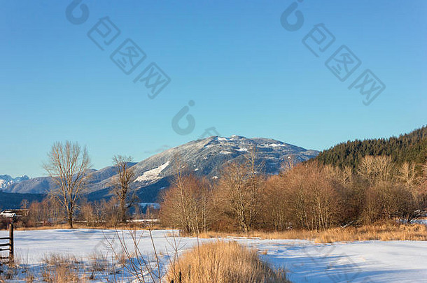 美丽的冬季风景，雪山。前景中的雪也在田野上。山上可以看到松树，但它没有被覆盖