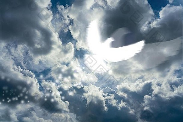 天空中运动模糊的庇贡是圣灵五旬节概念的象征