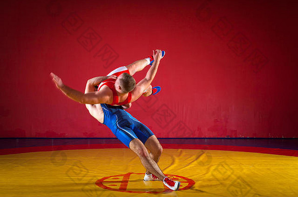sied view称，两名身穿蓝色和红色摔跤紧身衣的年轻男子正在体育馆的黄色摔跤地毯上进行摔跤和髋关节投掷