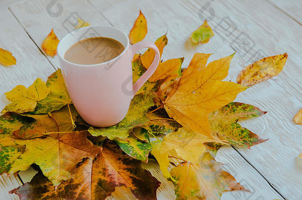 咖啡杯和黄色的秋叶背景。静物画，俯瞰，平展。