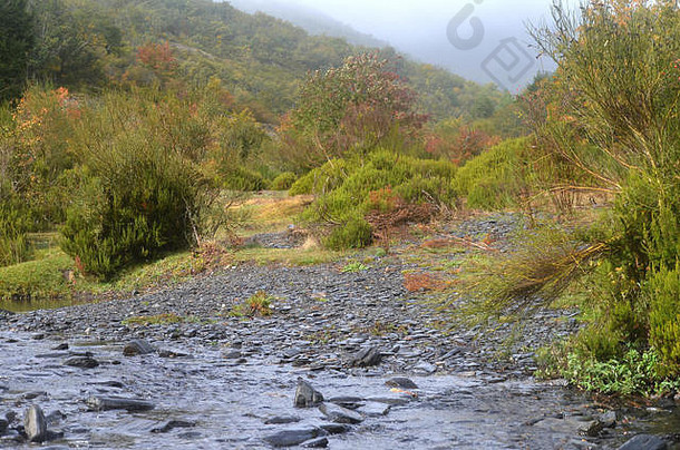 西班牙中部瓜达拉哈拉省Tejera Negra自然保护区的Lillas河
