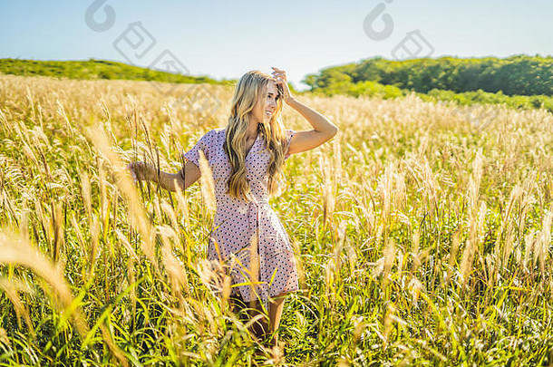 年轻美丽的女人在秋天的风景里，开着干花，长着麦穗。时尚秋冬。阳光明媚的秋天，时尚照片