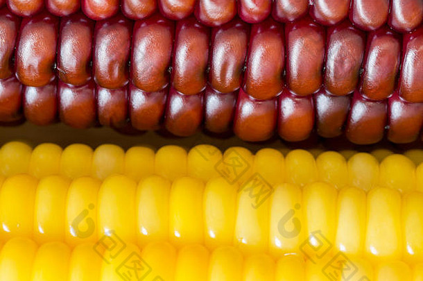 选择focust棕色（的）黄色的玉米自然纹理背景