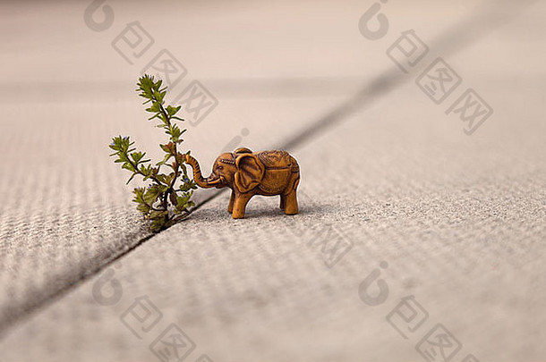 杂草旁的陶瓷大象