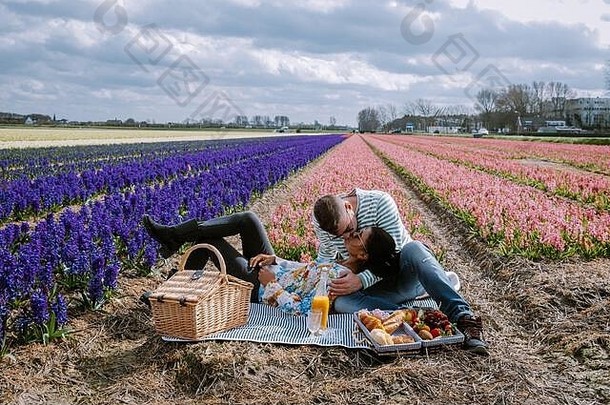 <strong>荷</strong>兰的春<strong>花季</strong>节，一对夫妇在春天在Lisse的球茎区野餐，背景是风信子花