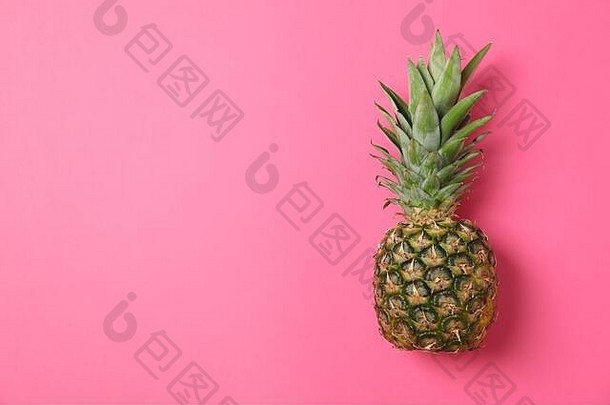 菠萝粉红色的背景空间文本多汁的水果