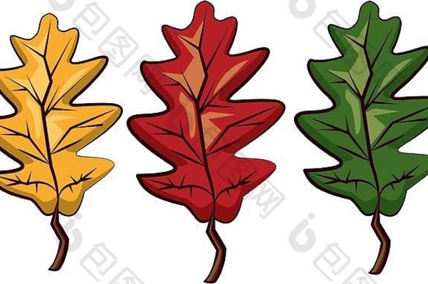 感恩节树叶植物秋季图标