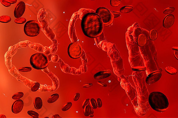 埃博拉病毒，显微镜观察。