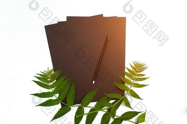 在白色的桌子上用素描本和铅笔自然构图，用绿色的树枝装饰。平面布置，俯视图，俯视图。太阳耀斑