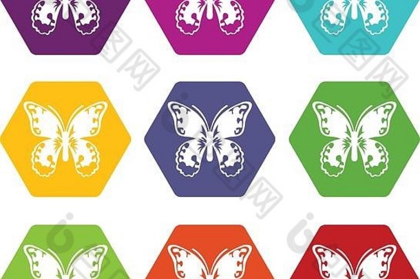 蝴蝶图标集颜色六面体