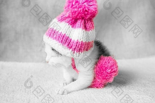一只可爱的小猫，戴着一顶粉色针织帽子，戴着绒球，睡在白色<strong>地毯</strong>上。戴帽子睡觉的可爱小猫