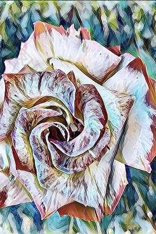 水笔玫瑰