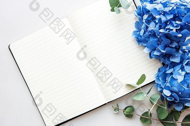 首页办公室工作空间<strong>笔记本</strong>蓝色的绣球花配件白色背景平躺