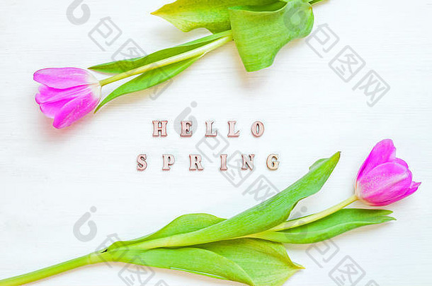 春花背景-由黄色郁金香花和白色背景上的木质铭文Hello Spring组成。平面布置，俯视图，s