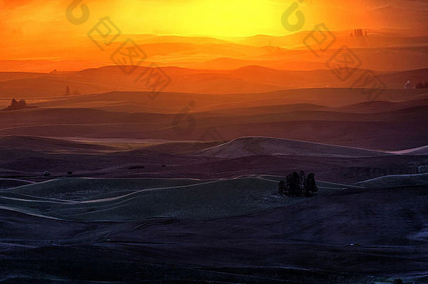 起伏的山丘和农田，日出