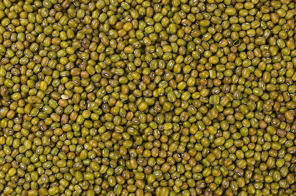 绿豆獴豆纹理背景营养生物自然食物成分