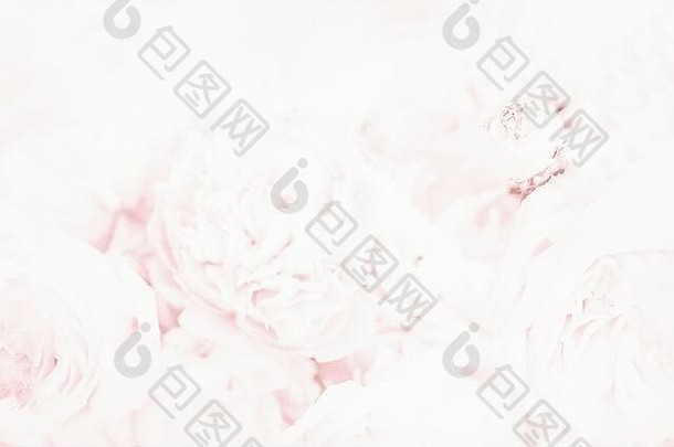 光软苍白的粉红色的模糊背景花模式