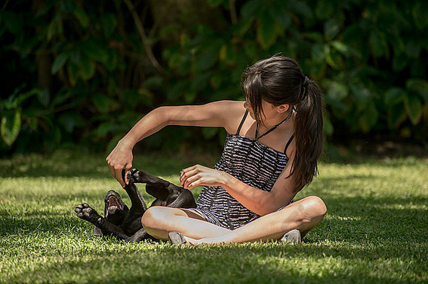 十几岁的女孩戏剧拉布拉多小狗草坪上花园