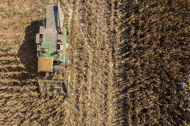联合收割机从田里采种，用联合收割机鸟瞰田里，玉米剥皮机采集作物。玉米脱粒