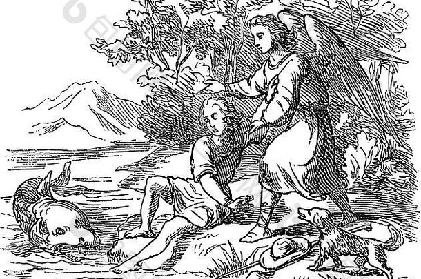 托比亚斯和天使拉斐尔的圣经故事的复古绘画或雕刻，以及治愈他父亲的鱼。圣经，旧约，约拿书2。德国格什奇特图书馆，1859年。