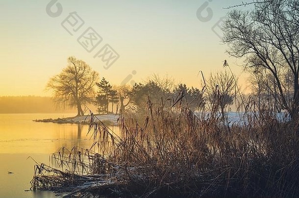 冬天早晨的景色。半岛上的树木在美丽的湖面上。