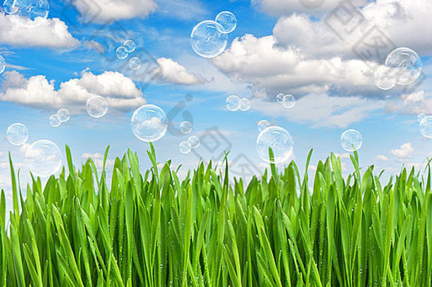 新鲜的绿色春草和水滴在美丽的蓝天和气泡。环境概念