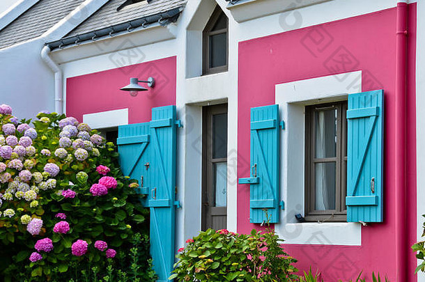 阳光明媚的视图蓝色的窗口百叶窗粉红色的房子布什粉红色的<strong>花花</strong>朵日益增长的