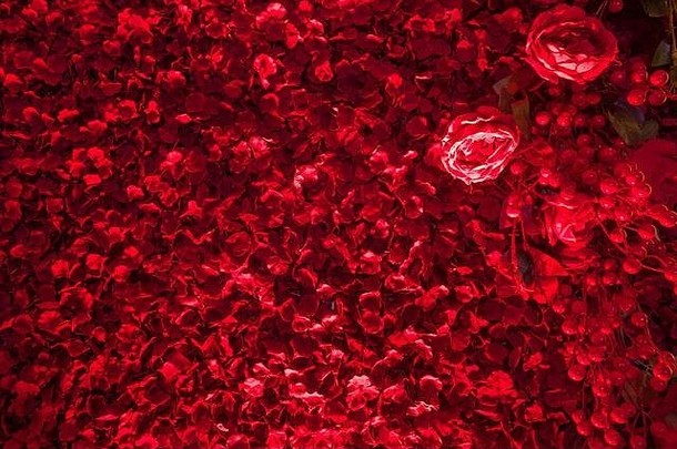 花瓣红色的玫瑰背景爱主题装饰红色的玫瑰花瓣情人节一天loseup玫瑰花瓣形状心激情概念视图复制空间