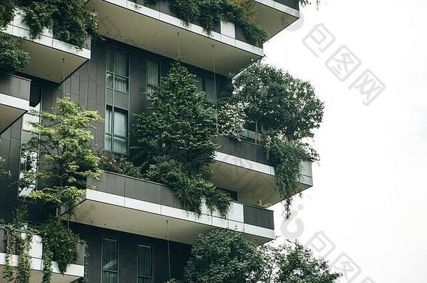 树木生长在住宅楼的阳台上。环境和日常生活。