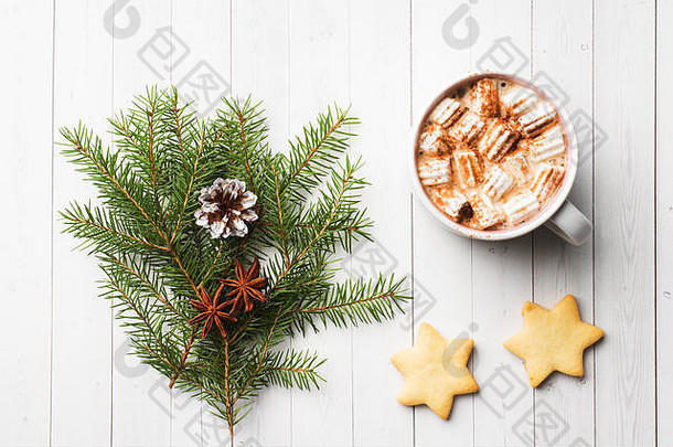 圣诞作文。热巧克力饼干，松枝，肉桂棒，八角星。圣诞节，冬天的概念。平放俯视图