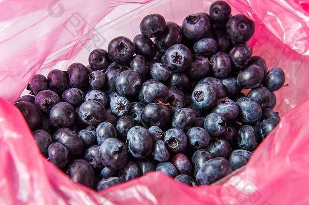 蓝莓水果塑料购买包