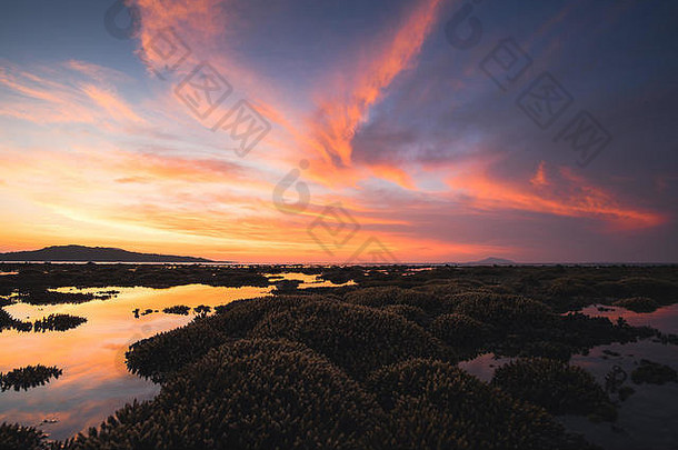 泰国普吉岛海滩退潮时，珊瑚礁作为彩色日出的前景和背景的绝妙景色
