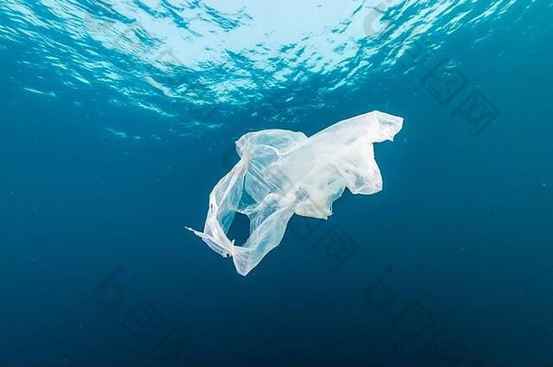 海洋中的塑料污染——热带海洋中漂流在水下的废弃塑料袋