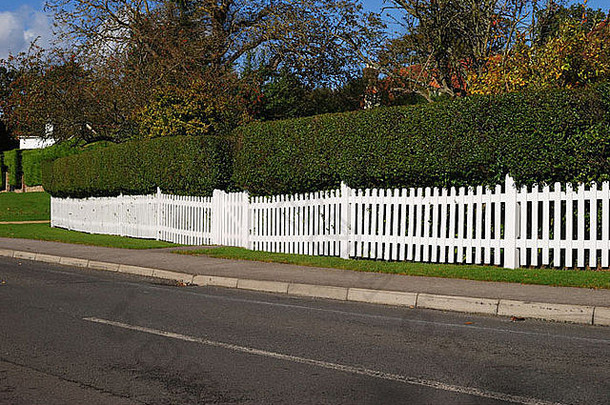 Chiddingfold小屋的白色尖桩篱笆和绿色树篱。萨里。英格兰