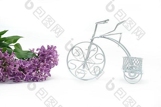 淡紫色分支玩具自行车白色背景