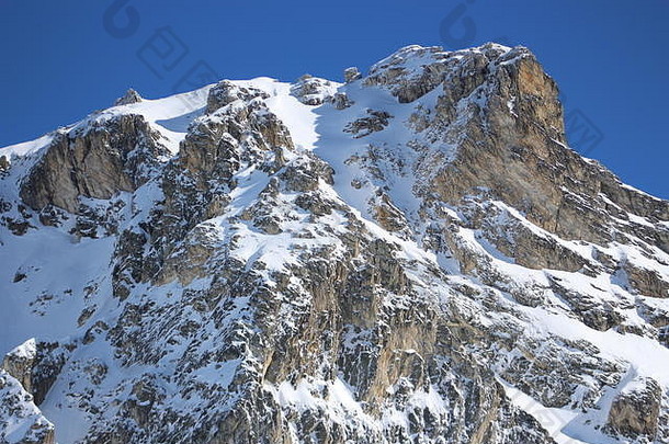 阿尔卑斯山田园诗般的夏季景观全景，背景是清澈的山脉、冰川和蓝天