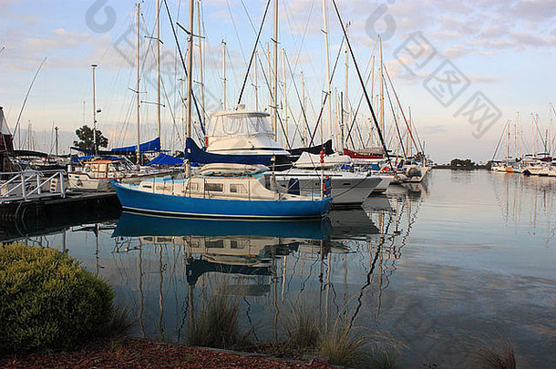 蓝色游艇停泊在莫宁顿半岛维多利亚澳大利亚水平BDB码头