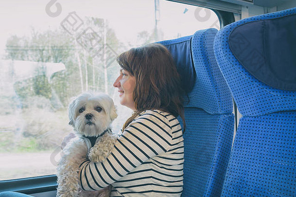 与主人一起乘火车旅行的马耳他小狗