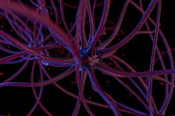 维管植物细根看起来像一个神经网络。三维渲染
