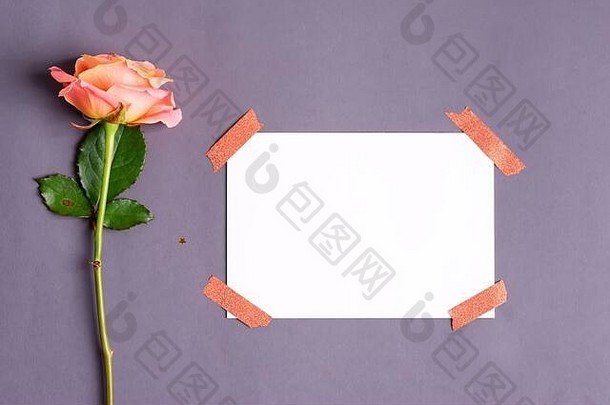 由新鲜玫瑰花制成的祝贺明信片和一张纸，用胶带贴在深灰色背景上，复印空间。平铺。