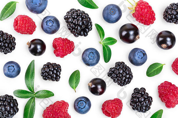混合黑莓蓝莓树莓孤立的白色背景前视图平躺模式