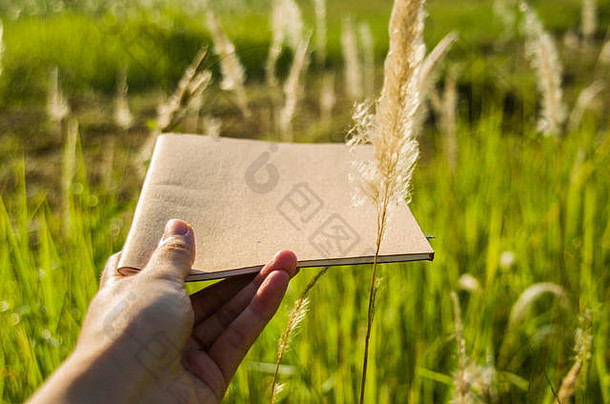在泰国蒋马的室外花园里，手拿着自然光的棕色笔记本。