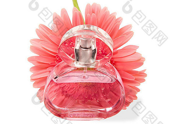 粉红色的香水玻璃小瓶背景花孤立的白色
