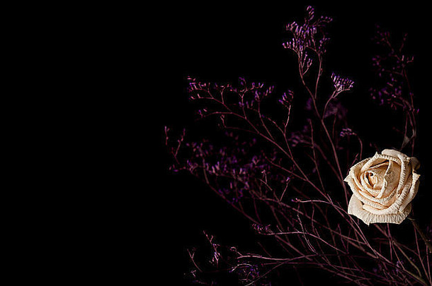 一朵枯萎的白玫瑰的水平照片，黑色背景上有枝条